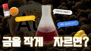 하또실 금이 빨갛다고 금 나노입자의 합성 과정 알아보기Au Nano Particles synthesis 대표적인 특징분광학적 엉김 틴들 현상은 [upl. by Derreg]