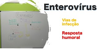 Enterovirus  Curso de virologia  Medicina passo a passo [upl. by Steffen]