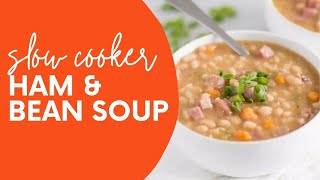 Slow Cooker Ham and Bean Soup [upl. by Htesil189]