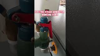 Work Video Electric Steam Generator Boiler Generadora Vapor Electrica steamboiler steamgenerator [upl. by Airetak]