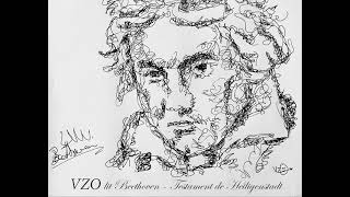 VZO lit Beethoven Testament de Heiligenstadt [upl. by Sedecrem]