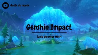 Genshin Impact  Saule pleureur flétri suite de la quête Chemin forestier brumeux [upl. by Esenej]