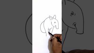 Tapir animal sitting drawing easy art drawing trending viralvideo shorts shortvideo reels [upl. by Colene68]