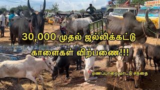 30000 முதல் ஜல்லிக்கட்டு காளைகள் விற்பணை மணப்பாறை மாட்டுசந்தை Manapparai Mattu santhai [upl. by Nuoras]