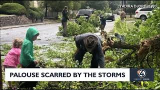 PULLMAN HIT HARD WITH DAMAGING WINDS TREES SNAPPED ANDOR UPROOTED 68 MPH GUST IN PULLMAN [upl. by Ger]