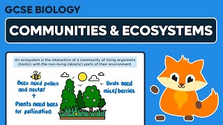 Communities amp Ecosystems  GCSE Biology [upl. by Daria842]