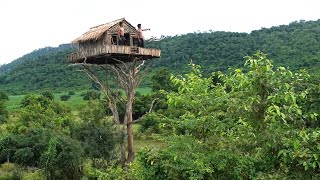 How To Build House On The Tree 12m And Swimming Pool  Part I [upl. by Ola]