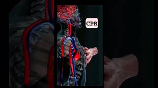 Quick Guide to CPR in 19 Seconds 💓  LifeSaving Basics CPR FirstAidSaveALife emergencyresponse [upl. by Nryhtak]