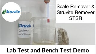 Struvite Remover Chemical amp Scale Remover STSR Lab Test and Bench Test Demo [upl. by Lockwood]