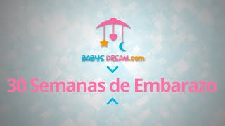 Bebé  30 Semanas de Embarazo  Signos y síntomas del embarazo [upl. by Petey657]