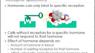 Endocrine part 2 how do they travel and hydrophobic vs hydrophilic hormones [upl. by Rolecnahc982]