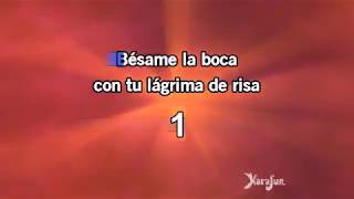 Ricardo Montaner  Bésame Karaoke 1 Tono Bajo [upl. by Pedroza557]