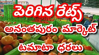 2024 Anantapur tomato market ratestoday tomato market ratestoday Anantapur tomato rate [upl. by Ddal]