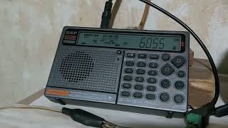 Radio Nikkei 1 Japanese 6055KHz [upl. by Frederick318]