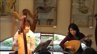 Lute amp Irish Harp Duet [upl. by Juetta]