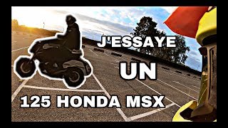 JESSAYE UNE 125 HONDA MSX [upl. by Wileen]