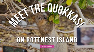 Why You Should Visit Rottnest Island 🇦🇺 [upl. by Haldis175]