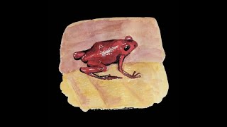 Endangered poison dart frog calls w ambient soundscapes 🐸🎶 Poison Frog Song Sanctuary [upl. by Stoffel]