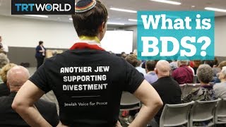 What is BDS [upl. by Nalniuq]