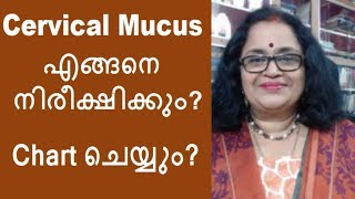 Cervical Mucusആര്‍ത്തവചക്രത്തിലുടനീളം വരുന്ന മാറ്റങ്ങള്‍എങ്ങനെ തിരിച്ചറിയും chart ചെയ്യും [upl. by Teferi827]