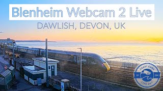 Blenheim Cam 2 Public Dawlish Webcam 4k Sponsored by the Shoe Centre Dawlish [upl. by Natek514]