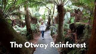 Why the Otway Rainforest Is a MustSee Attraction on Australias Great Ocean Road [upl. by Emelen]