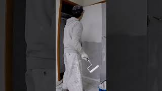 Enamel Painting Varnished Wood Doors stainblock primer sealer [upl. by Pepi87]