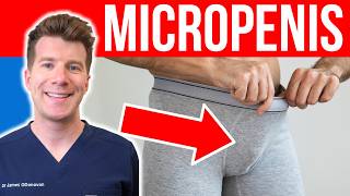 Doctor explains MICROPENIS  Definition causes size and treatment [upl. by Leede]