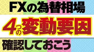 為替が変動する４つの要因とは？理由や背景、仕組みを分かりやすく解説 [upl. by Ahsinnor]