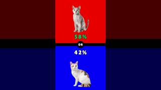 Would You Rather Part 35 Cat Breed Edition shorts [upl. by Eppesuig]