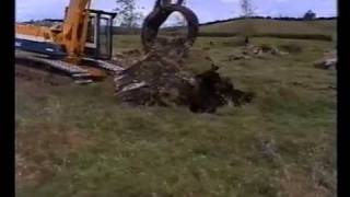 Unearthing a Huge Kauri Stump [upl. by Perl]