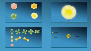 The Evolution of Atomic Theory  Bohrs Model amp Quantum Mechanics part 2 [upl. by Justen217]