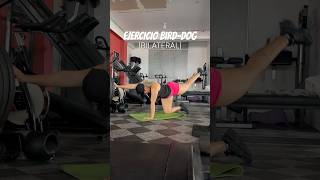 BIRDDOG bilateral🔥 fitnessencasa absworkout entrenaencasa ejercicioencasa franlizfit [upl. by Niac791]