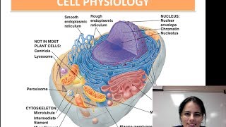 Cell Physiology Unit 1  Video 7 [upl. by Arihs]