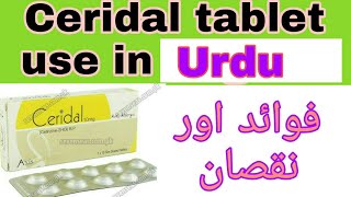 Ceridal 10mg Tablet use in UrduHindi  technical and medical information  Ceridal tab side effect [upl. by Enialed]