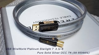 Wireworld Platinum 7 USB A to B  Solid Silver OCC 7N 9999999 [upl. by Hodges916]