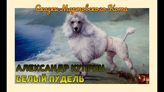 Рассказ Белый пудель Александр Куприн [upl. by Aisan]