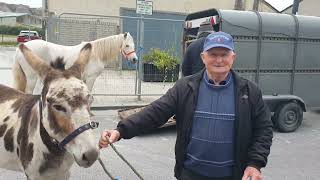 Listowel October horse 🐎 fair 2024 on the 1st Thursday [upl. by Trygve]