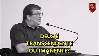 Deus é transcendente ou imanente [upl. by Arikahc147]