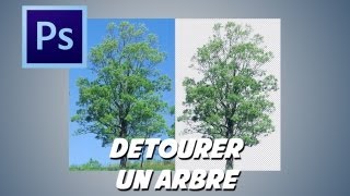 photoshop détourer un arbre [upl. by Wynnie]