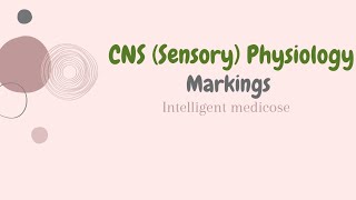 Chapter 46 Guyton  CNS Sensory Physiology Physiology Markings [upl. by Rancell]