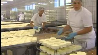 Camembert  la fabrication [upl. by Acirema423]