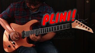 Plini  Selenium Forest  Intro Guitar Solo Cover [upl. by Esenahs335]