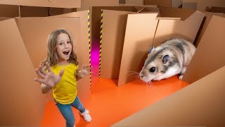 Nastya and the hamsters escape from the cardboard maze [upl. by Inalem356]