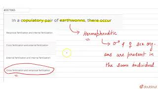 In a copulatory pair of earthwonns there occur [upl. by Yhtuv882]
