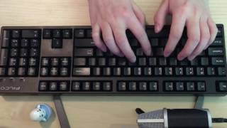 Cherry MX red Filco Majestouch Convertible 2 on DAS blank keycaps typing sound [upl. by Angelia411]