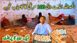 100 Golden Misri Murgi sy Daily Profit  Ali Bhai Poultry Farm Sargodha [upl. by Anilahs]