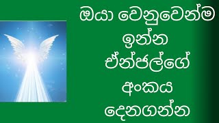 Own angel number in sinhala thamuntama inna suranganawige anka danaganna [upl. by Mendel]