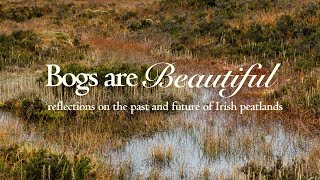 Bogs are Beautiful with Mariana Silva  reflections on the past and future of Irish peatlands [upl. by Ainatit]