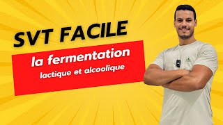 la fermentation lactique et alcoolique [upl. by Poock228]